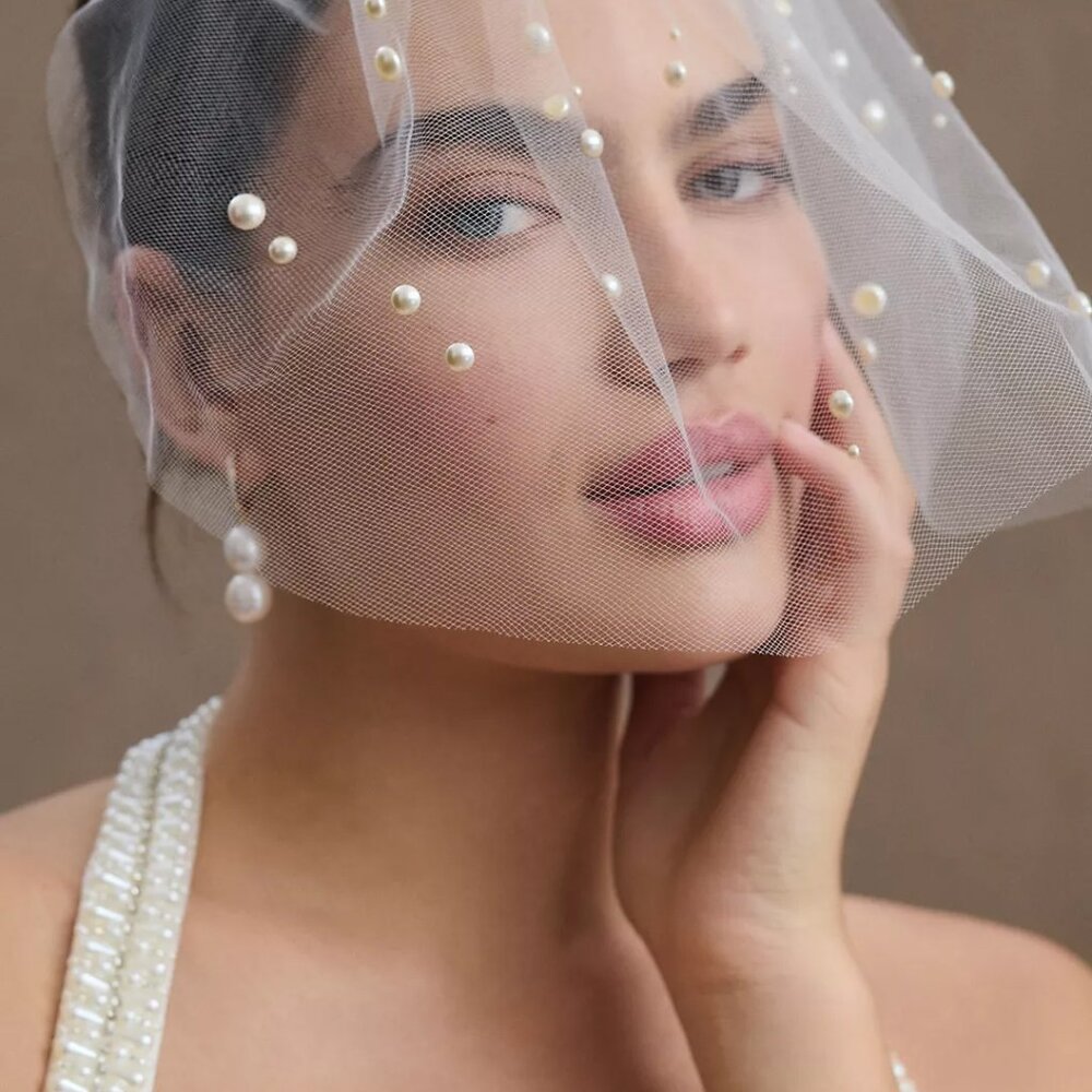 Twigs & Honey Marolize Birdcage Veil